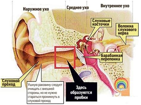 Причины возникновения ушной пробки и ее симптомы