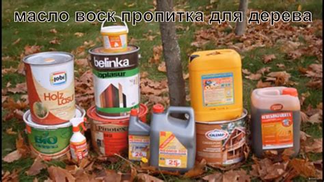 Причины гниения черного пола