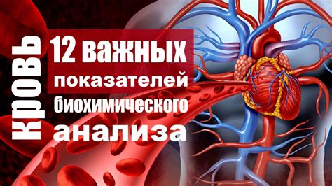 Причины интенсивной месячной крови: что стоит знать