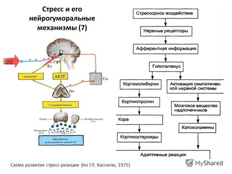 Причины и механизм возникновения перегара