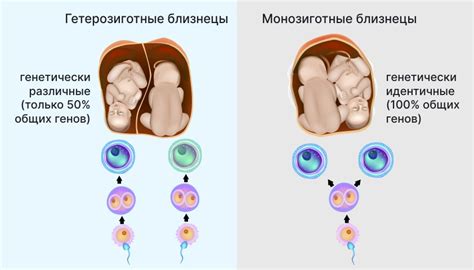 Причины и симптомы, которые могут побудить вас сменить аяно