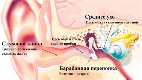Причины формирования секрета в ушной канал и его характеристики