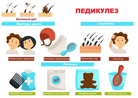 Причины чесания головы при отсутствии педикулеза