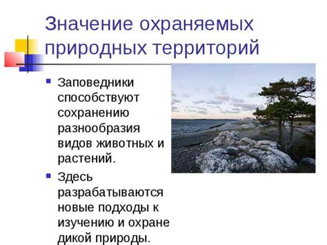Проактивные подходы к сохранению зелени растений