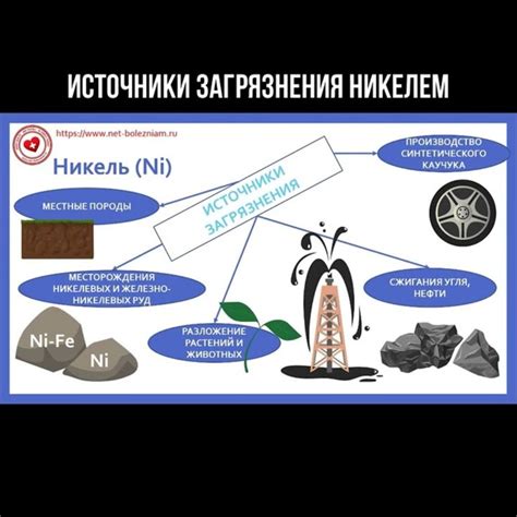 Проблемы, возникающие при неправильной обработке: плесень и загрязнения
