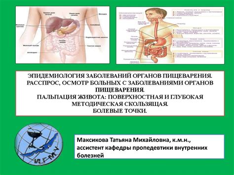 Проблемы, связанные с функционированием органов пищеварения