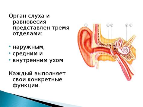 Проблемы со внутренним ухом