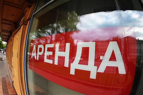 Пробный контроль перед арендой на коне