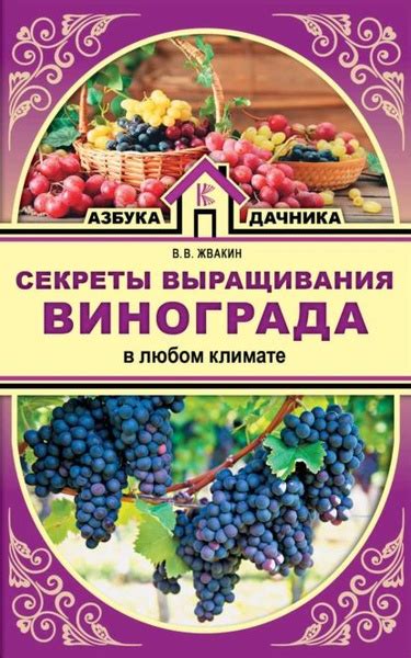 Проверенные секреты успешного выращивания винограда