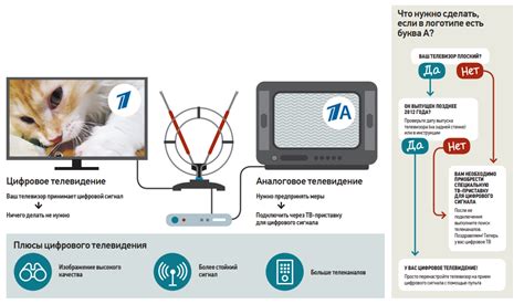 Проверка наличия сигнала ВОКА ТВ