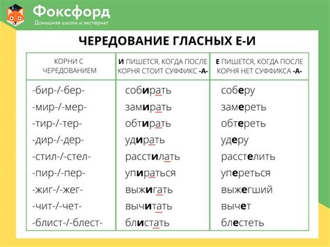 Проверка согласной буквы на симметричность