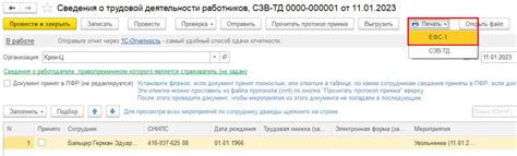 Проверка точности данных в ЕФС1: ключевые аспекты
