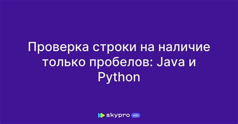Проверка файловой системы на наличие следов использования среды Python