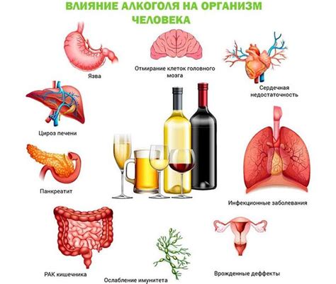 Продукты, способствующие быстрому восстановлению организма после употребления алкоголя