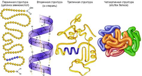 Производство глобулина