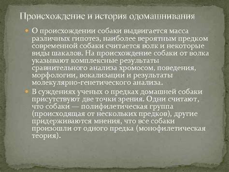 Происхождение и история голубой собаки