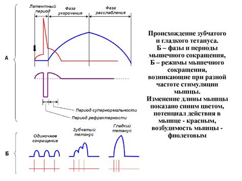 Происхождение и популярность данного сокращения