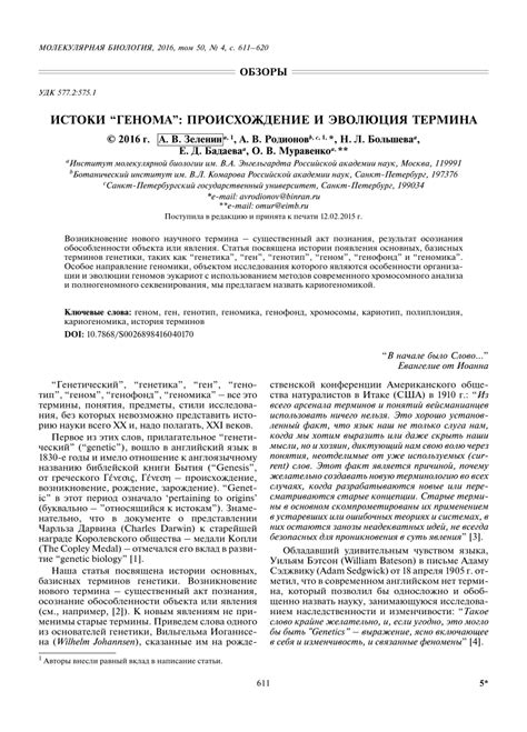 Происхождение и эволюция термина в современном городском жаргоне