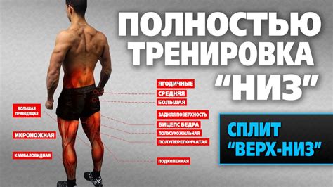 Простые тренировки для придания формы и объему нижней части ног