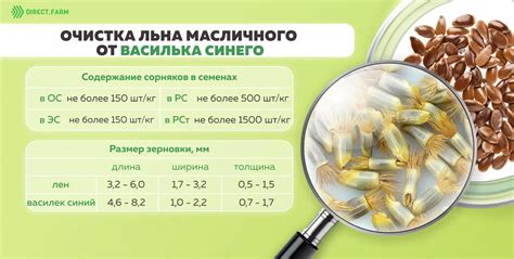 Профилактика некоторых форм рака с помощью применения семен льна