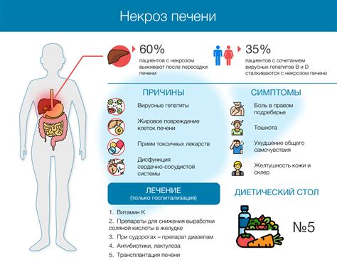 Профилактика некроза: ограничение рисков возникновения заболевания