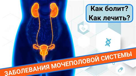 Профилактика осложнений мочеполовой системы у женщин: важные рекомендации