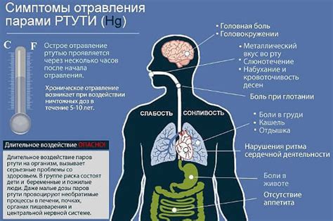 Профилактика повреждения термометра и ртутного отравления