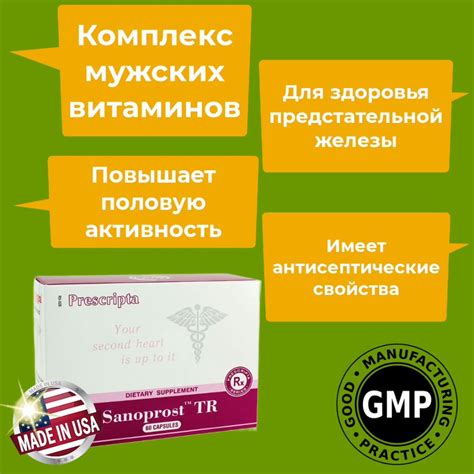Профилактика простатита: важность цинка для здоровья предстательной железы