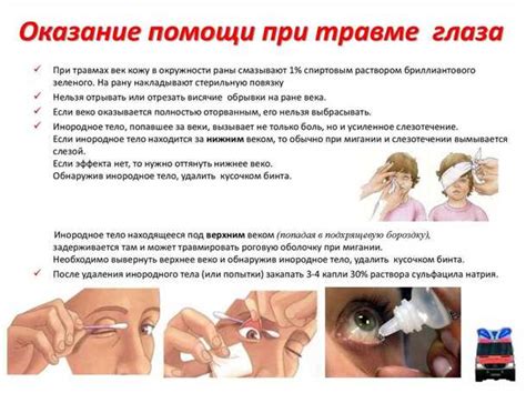 Профилактические меры для предотвращения гниения двери