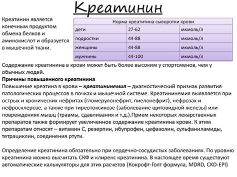 Процедура и значимость анализа крови на уровень креатинина