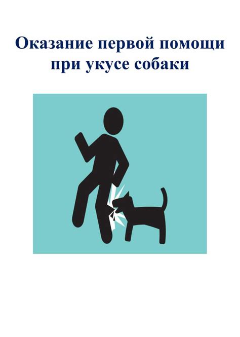 Процедуры для лечения гноя при укусе собаки
