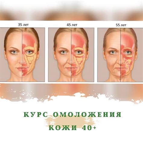 Процесс восстановления клеток кожи с помощью серы