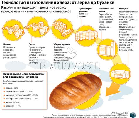 Процесс изготовления хлеба и других выпечек: шаги и особенности