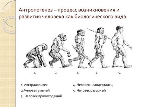 Процесс и результат: как отличаются два важных аспекта биологического роста и развития