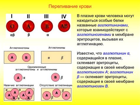 Процесс образования голоядерных элементов