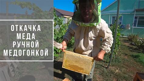 Процесс охлаждения меда в медогонке
