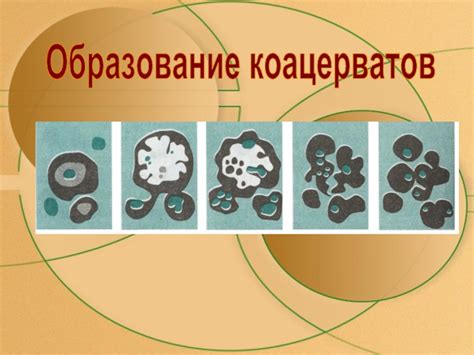 Процесс формирования кальциевого карбоната природой
