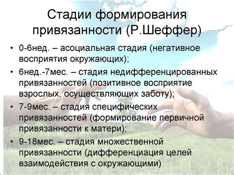 Проявление прочной привязанности и долговременной преданности