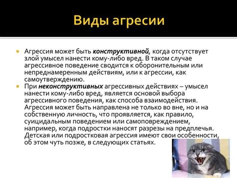 Психологические аспекты устранения агрессии питомца по отношению к хозяину