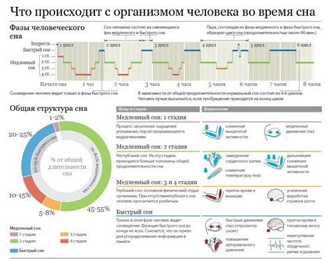 Психологический анализ сна об аварии во время сновидения