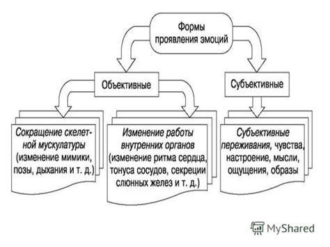 Психологический аспект: воздействие эмоций и внешних раздражителей на направление взгляда