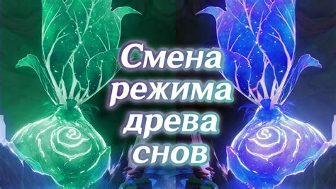 Психологический феномен снов: причины воспринятия некоторых снов как реальности