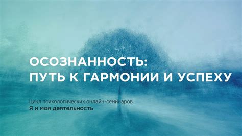 Путь к гармонии: осознанность и благодарность