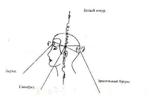 Путь к раскрытию третьего глаза: методы и упражнения
