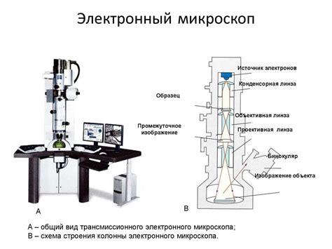 Работа электронного микроскопа: основной принцип действия
