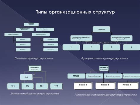 Разбор структуры университета: понимание организационной системы