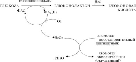 Разведанные методы определения содержания глюкозы в крови