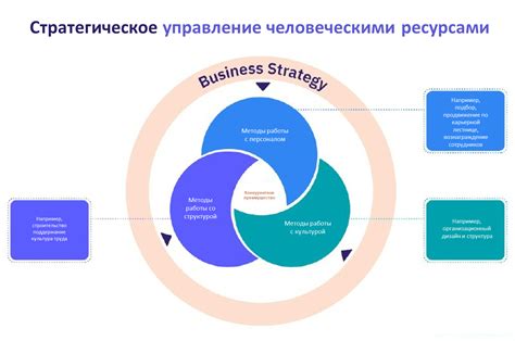 Развитие и внедрение стратегии управления человеческими ресурсами