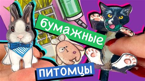Развлечения и игры для обоих питомцев