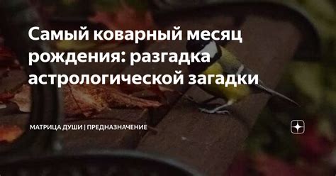 Разгадка загадки: вихрь судьбы, сводящий вместе Милагрос и Федерико